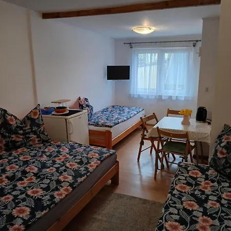 Drewniany I Goscinne U Buczka 民宿 Władysławowo